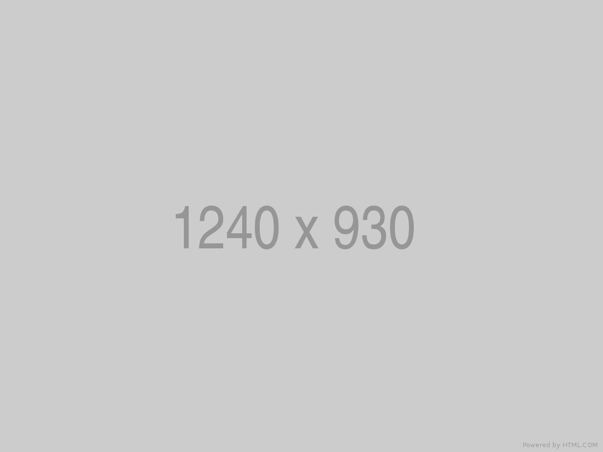 Photo 03
